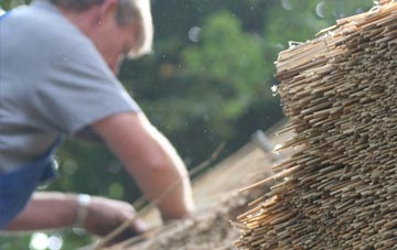 professional Glororum thatchers